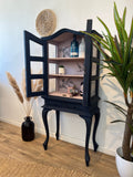Petite Glass Display Cabinet painted Navy Blue and Pink