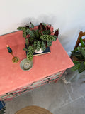Vintage Chest of Drawers painted Pink and Floral